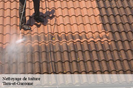 Nettoyage de toiture Tarn-et-Garonne
