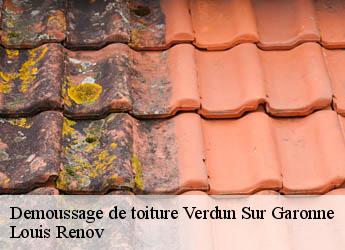 Demoussage de toiture  verdun-sur-garonne-82600 Louis Renov