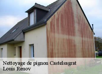 Nettoyage de pignon  castelsagrat-82400 Louis Renov