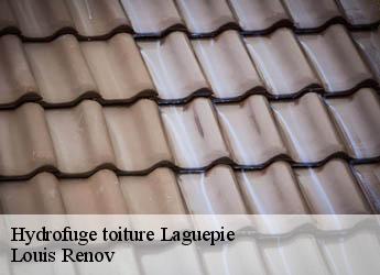 Hydrofuge toiture  laguepie-82250 Louis Renov