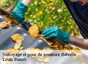 Nettoyage et pose de gouttière  belveze-82150 Louis Renov