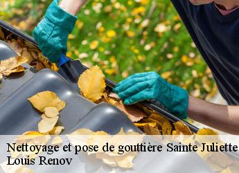 Nettoyage et pose de gouttière  sainte-juliette-82110 Louis Renov