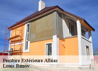 Peinture Extérieure  albias-82350 Louis Renov